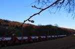 Die ersten Knospen an einem Apfelbaum:    Erst wenige Minuten nachdem die Sonne untergegangen ist, kam der Kiesgüterzug, vorgespannt mit der SBB Re 6/6 Nr.