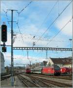 Bei diesem Bahnbild aus Lausanne sind nicht die Zge, sondern die die Fahrleitung bevlkernden Zugvgel das Interessante.