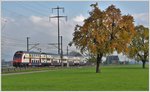 S2 18247 nach Ziegelbrücke mit 514 056-1 bei Siebnen-Wangen. (27.10.2016)