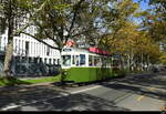 Bern Mobil - Tram Be 4/4 107 mit Beiwagen B 337 unterwegs als Shuttle von der Haltestelle Bern Wankdorf bis zum Depot Bolligenstrasse und wieder zurück zur Haltestelle Bern Wankdorf am 28.10.2023