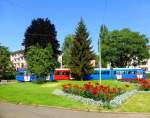 Durch die Blume - RBS Gelenkwagen Be4/10 89 in der Wendeschlaufe Weissenbühl der Berner Tramlinie 3, am sommerlichen 26.Juni 2014.