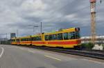 Be 4/8 210 und der Be 4/6 225 auf der Linie 11 kurz vor der Haltestelle Münchensteinerstrasse. Die Aufnahme stammt vom 10.05.2014.
