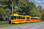 Be 4/8 245 zusammen mit dem Be 4/6 217, auf der Linie 11, fahren zur Haltestelle am Bahnhof SBB. Die Aufnahme stammt vom 03.10.2016.