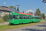 Be 4/4 482 zusammen mit dem B4S 1481, auf der Linie 16, fahren zur Endstation auf dem Bruderholz.