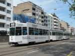 Der neue Clariant Werbezug mit dem Be 4/4 493, dem B 1501 S und dem B 1460 auf der Linie 1 in voller Fahrt Richtung Haltestelle Birmansgasse.