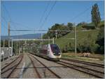 Der TGV Lyria 4727 auf dem Weg nach Paris Gare de Lyon fährt in La Plaine beim  Ausfahrtsignal vorbei und wird in Kürze die Grenze zu Frankreich passieren. 

6. Sept. 2021