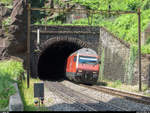 Aus dem Archiv...Gotthardbahn<br>
Re 460 118 verlässt am 15. Juni 2013 mit einem südwärts fahrenden IR den 72 m langen Toumiquettunnel auf der mittleren Ebene der Biaschina.