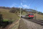 Vor wenigen Minuten hat dieser Interregio am 14. November 2010 den Bahnhof Brugg verlassen und passiert nach Durchfahrt durch den Tunnel Villnachern soeben diesen Rebberg am Rande der Bzbergstrecke.