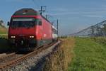 Als die Strecke zwischen Kreuzlingen und Weinfelden noch eingleisig vom Seerücken ins Thurtal führte. Bei Berg (TG) befindet sich Re 460 020-1 mit dem in Konstanz gestarteten IR 2126 auf der Fahrt nach Biel (02.11.2014).