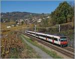 Ein vierteiliger  Domino -Zug als S9 12939 von Lausanne nach Payerne kurz nach Bossière.