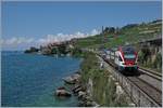 Schneller als die Eisenbahn, oder Zugverfolgung zu Fuss: Pünktlich in Vevey abgefahren, konnte ich den RABe 511 037 auf seiner Fahrt als RE Richtung Genève an der bekannten Fotostelle zwischen St-Saphorin und Rivaz fotografieren. Und dies nach einem gemütlichen Abstieg von der Fotostelle an der Strecken Chexbres - Vevey.
19. Juli 2018