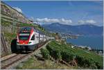 Der SBB RABe 511 029, unterwegs als RE 30227 von Genève nach Fribourg, hat Vevey vor wenigen Minuten verlassen und nun bereits beträchtlich an Höhe gewonnen, als ich ich kurz vor dem Salanfe Tunnel ablichten konnte. 
Im Hintergrund die Riviera Vaudoise und die Waadtländer Alpen mit den Rochers de Naye und Dent de Jaman.
26. August 2018