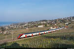 SBB RABe 502 215 mit einem zweiten Twindexx als IC1 Genève Aéroport - St.