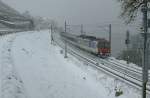 Eine eher untypische grau/kalte Winteransicht des Lavaux: NPZ zwischen St-Saphorin und Rivaz am 4.