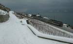 NPZ Richtung Lausanne im verschneiten Lavaux am 10. Januar 2010.

EXIF-Daten: SONY DSLR-A350, Aufnahmezeit: 2010:01:10 14:53:53, Belichtungsdauer: 0.003 s (1/400) (1/400), Blende: f/6.3, ISO: 100, Brennweite: 24.00 (240/10)