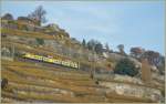 Der  Train des Vignes  auf der 38 Promille Rampe oberhalb von St-Saphorin am 4. Nov. 2010