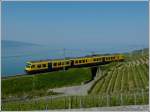 - Abschied - Am 28.05.2012 verkehrte der  Train des Vignes  wohl zum letzten Mal in dieser Farbgebung. In der Nhe von Chexbres macht er seinem Namen alle Ehre in den Weinbergen des Lavaux hoch ber dem Genfersee. (Hans)