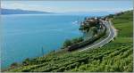 Verschiedene Reisemglichkeiten kreuzen sich bei Rivaz am Genfersee: Whrend der IR 1721 die Reisenden ins Wallis bringt, fhrt das Dampschiff  La Suisse  gemtlich nach Lausanne.
(09.09.2013)