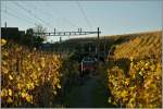 Herbst im Lavaux: Beim tiefen Abend (Gegenlicht) entstand diese Bild der SBB Re 460 031-8 auf dem Weg nach Brig kurz nach Lutry.