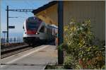 Auch die moderne Bahn verbreitet heute noch eine Hauch Romantik. 
RABe  523 015 als S1 nach Villeneuve in St-Saphorin.
4. Okt. 2015