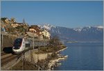 Internationaler Verkehr am Genfersee bei St-Saphorin: Ein TGV Lyria ist als  TGV de Neige auf dem Weg von Brig nach Paris Gare de Lyon.