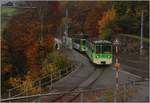 Ein Zug der Schmalspurbahn Aigle - Les Diablerets beim Überqueren der Schlucht über den Fluss Grande Eau, nahe Le Sepey. 24. 10.2019