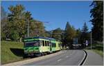 Der TPC BVB Beh 4/8 92  Barboleuse  nähert als Regionazug von Bex nach Villars unterwegs der Ortschaft La Barboleuse. 

11. Oktober 2021