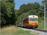 Der TPC BVB BDeh 4/4 83 ist mit einen Regionalzug nach Bex auf kurz vor Les Posses auf Talfahrt. Damals zeigte sich der Triebwagen noch in den BVB Farben rot/gelb. 

12. August 2015