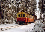 ASm/OJB/SNB: OJB Güterzug mit dem SNB BDe 4/4 4 auf der Fahrt nach Aarwangen im verschneiten Hardwald im Januar 1981.