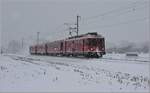 Vororts Pendelzug S1 1516 mit Be 4/4 511 zwischen Landquart und Malans.