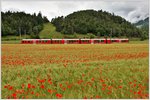 S1 1510 mit ABe 4/16 3103 unweit der Kapelle Sogn Mang und vor dem Gletscherhügel Bot Danisch bei Bonaduz. (14.07.2016)