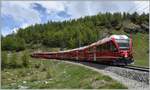 R1633 nach Campocologno mit ABe 8/12 3509 oberhalb Alp Grüm. (09.06.2020)