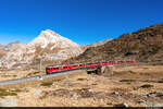 Am 24.10.2021 sind RhB ABe 4/4 53 & ABe 51 unterwegs mit dem BEX und konnten hier auf dem Bernina bei Lagalb auf der Westernbrücke aufgenommen werden