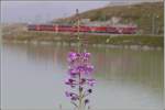 Der Bernina Express 971 hat den hchsten Punkt am Lago Bianco fast erreicht.