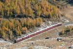 RhB - Bernina-Express 972 von Tirano nach St.Moritz am 12.10.2008 oberhalb Alp Grm mit Triebwagen ABe 4/4 III 54 - ABe 4/4 III 55 - Bp - Bp - Bp - Bps - Api - Ap  
