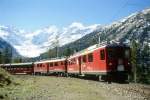 RhB Regionalzug 425 von St.Moritz nach Tirano am 08.10.1999 in der Montebello-Kurve oberhalb Morteratsch mit Triebwagen ABe 4/4 II 45 - ABe 4/4 III 51 - BD 2473 - AB 1545 - B 2311 - B 2313 - B 2308 - B 2428 - Hinweis: gescanntes Dia
