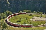 BerninaExpress 975 mit den beiden ABe 4/4 III 53  Brisio  und 56  Corviglia  in der Alp Grüm Kurve.