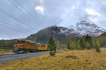 Das RhB Bernina Krokodil Nr.182 fährt mit dem Montebelloexpress bei Pontresina vorbei.Bild vom 15.10.2016