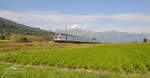 Ein RABe 511 (Stadler Kiss) unterwegs im Rheintal in Richtung Chur.