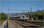 Eine Viertelstunde später hat sich der Nebel bereits verzogen und der ausfahrende  der SBB LEX RABe 522 215 konnte in La Plaine vor dem Hintergrund der Genfer Weinberge fotografiert werden. 

6. September 2021