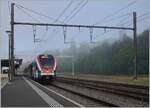 Bei einem etwas nebligen Hintergrund wartet der SBB LEX RABe 522 215 in La Plaine auf die Abfahrt als Léman Express SL5 nach Genève. La Plaine ist die westlichste SBB Station und die Strecke wird in den Relationen Paris/Lyon/Grenoble - Genève auch von SNCF Züge genutzt. Gebaut wurde die Strecke von der französischen PLM.  

6. September 2021