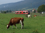 SBB: Die  MISS BÄRNER-JURA  und ein RE La Chaux-de-Fonds - Biel mit einem RABe 526 Stadler GTW (ehemals BLS/RM) wurden zusammen auf einem Bild verewigt im Berner-Jura am 23.