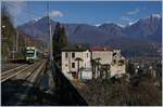 Ein Lötschberger vom südländischem Flaire umgeben und dies trotz Minusgraden: Der BLS RABe 535 103 Lötschberger, unterwegs als RE 4265 von Bern nach Domodossola, beim Halt in