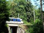 Am 25.08.2008 kam hinter diesem Waldrand bei Wangen an der Aare ein NPZ herausgeschlichen...