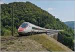 Zwei SBB RABe 503 als EC 52 von Milano nach Basel bzw. Frankfurt auf dem 128 Meter langen Rümlinger Viadukt. 
7. August 2018
