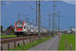 Bilder aus der March zwischen Pfäffikon SZ und Ziegelbrücke. RE5077 mit 511 015 bei Siebnen-Wangen. (24.09.2015)