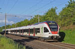 RABe 521 019, auf der S1, fährt Richtung Bahnhof Kaiseraugst. Die Aufnahme stammt vom 20.05.2017.