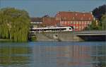 Kleines Stimmungsbild mit Seehas, frischem Grn (, Rot) und viel Wasser am sdlichen Rheinbrckenkopf in Konstanz.