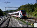 SBB - Triebzüge RABe 522 223 und  522 214 bei der einfahrt im Bahnhof Mies am 08.10.2020