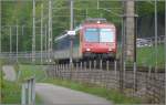 RBDe 560 NPZ R7852 auf dem falschen Gleis zwischen Unterterzen und Murg. (22.04.2009)